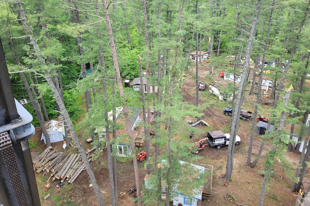 view of Foley Tree Service team members and equipment from above in the tall pines