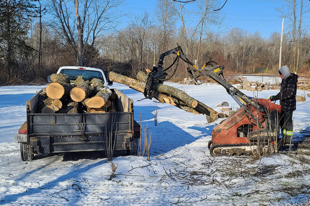 Foley Tree Service team member using the Ditch Witch to load cut up tree trunks into trailer