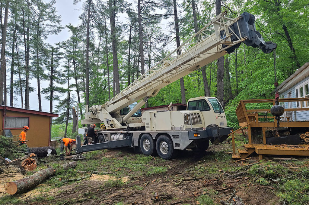 Foley Tree Service team members working alongside crane equipment